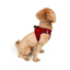 TailPetz Airmesh Red Köpek Göğüs Tasması 3XS