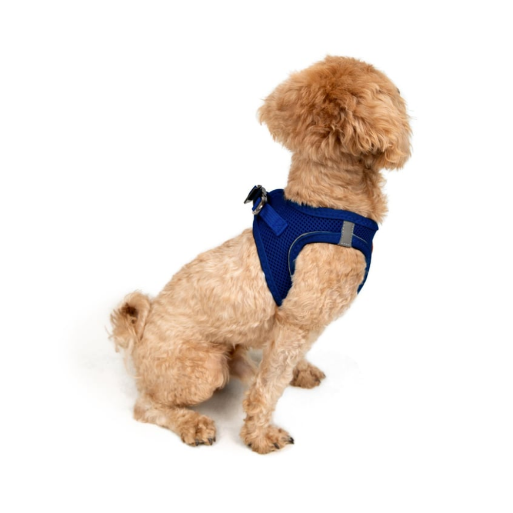 TailPetz Airmesh Sax Köpek Göğüs Tasması 2XS