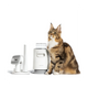 Neakasa Kedi |* Köpek Tıraş Makinesi P0 Pro