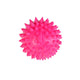 Zampa Köpekler İçin Kirpi Top, 6.2cm
